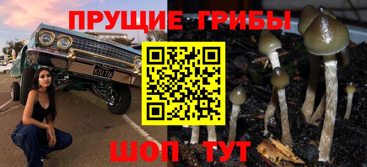 Псилоцибиновые грибы мицелий Алексин