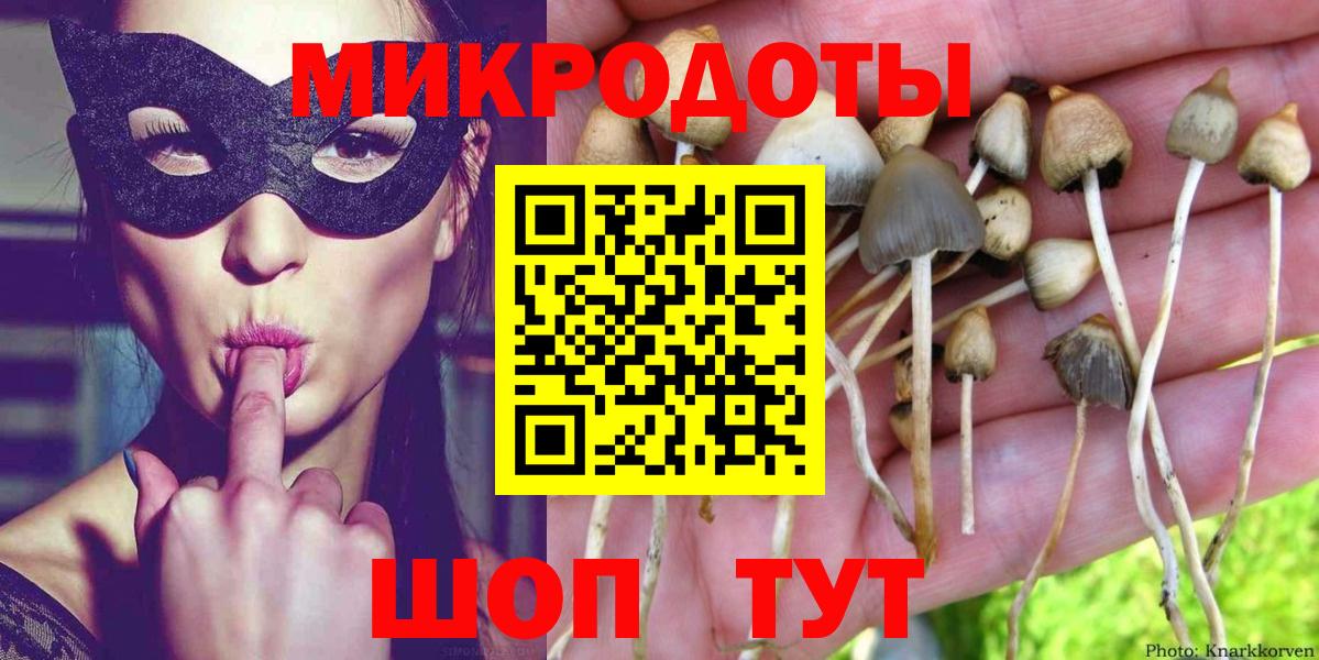Галлюциногенные грибы Psilocybine cubensis  Вход с VPN  купить наркотики сайты  Алексин 